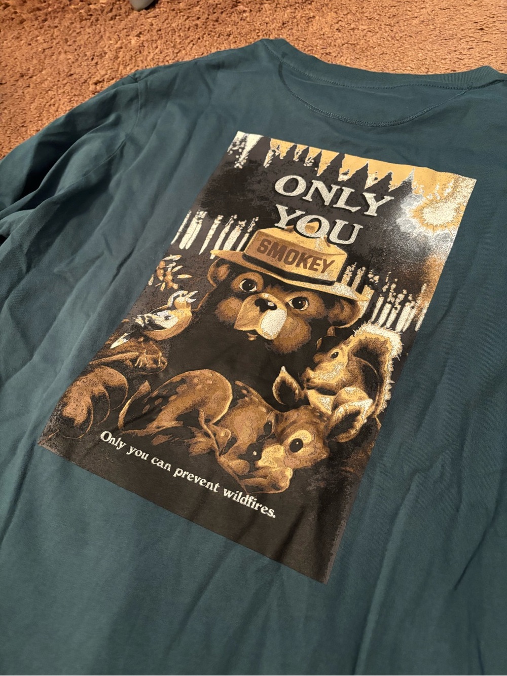 Tentree Smokey the Bear Longsleeve Graphic Tee in Teal